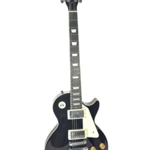 Palmer LP Custom Electric Guitar