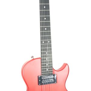 Palmer PE-LPS Electric Guitar Standard Series