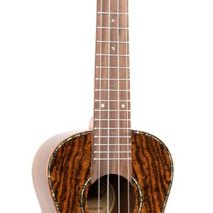 EDDY FINN EXPRESSION SERIES CONCERT UKULELE WITH GIG BAG