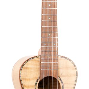 EDDY FINN EXPRESSION SERIES CONCERT UKULELE WITH GIG BAG