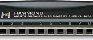 SUZUKI PROMASTER HAMMOND PROFESSIONAL 10 HOLE DIATONIC HARMONICA