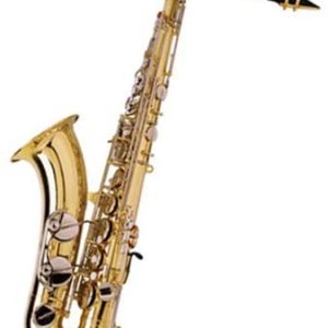 Alto Sax Student Sax Comes with Hard Case